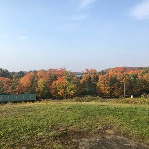 Meet your Posher, Jennie